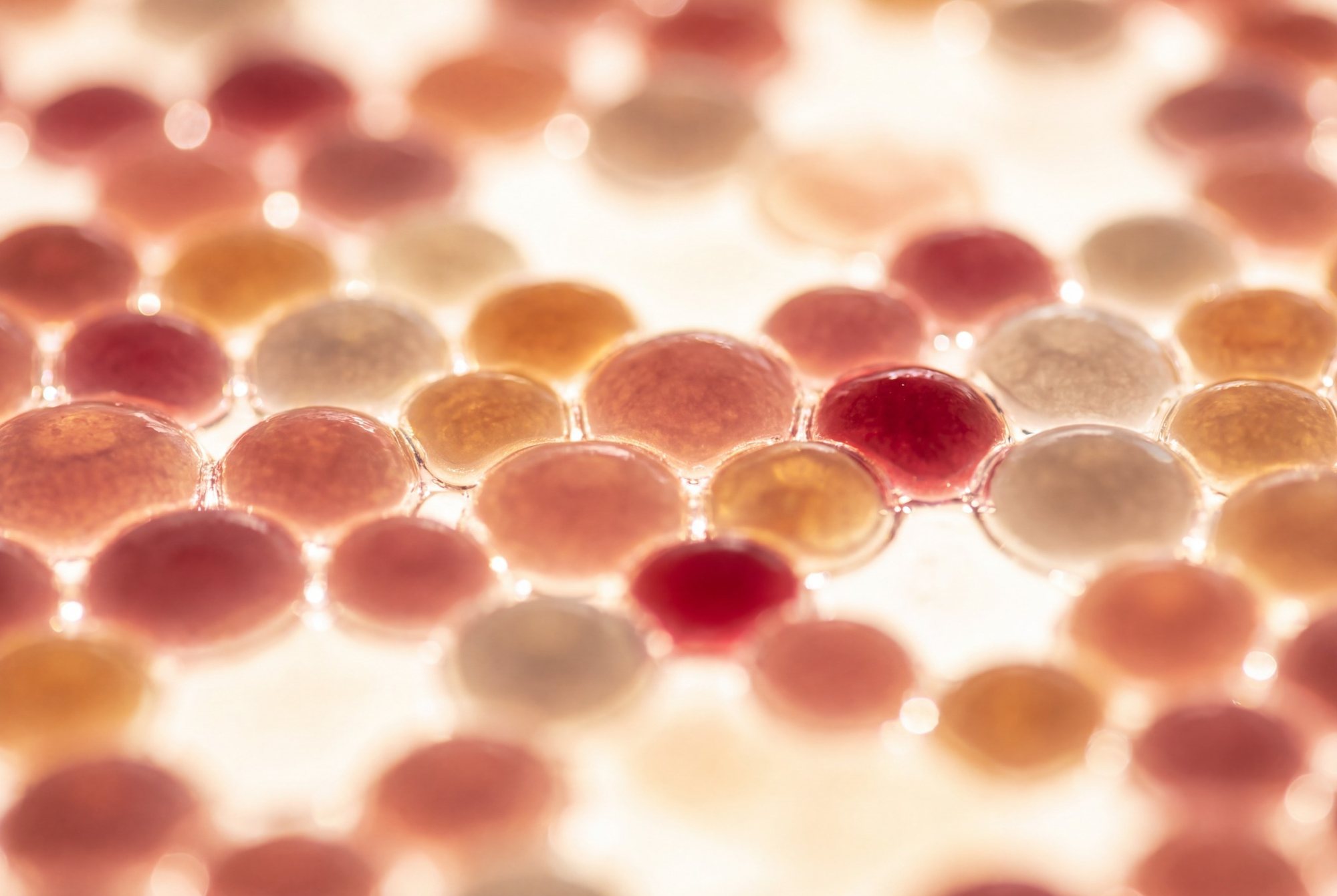 Abstract close-up of blood components